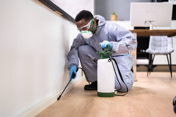 Best Real Estate Pest Inspections  in St Rose, LA